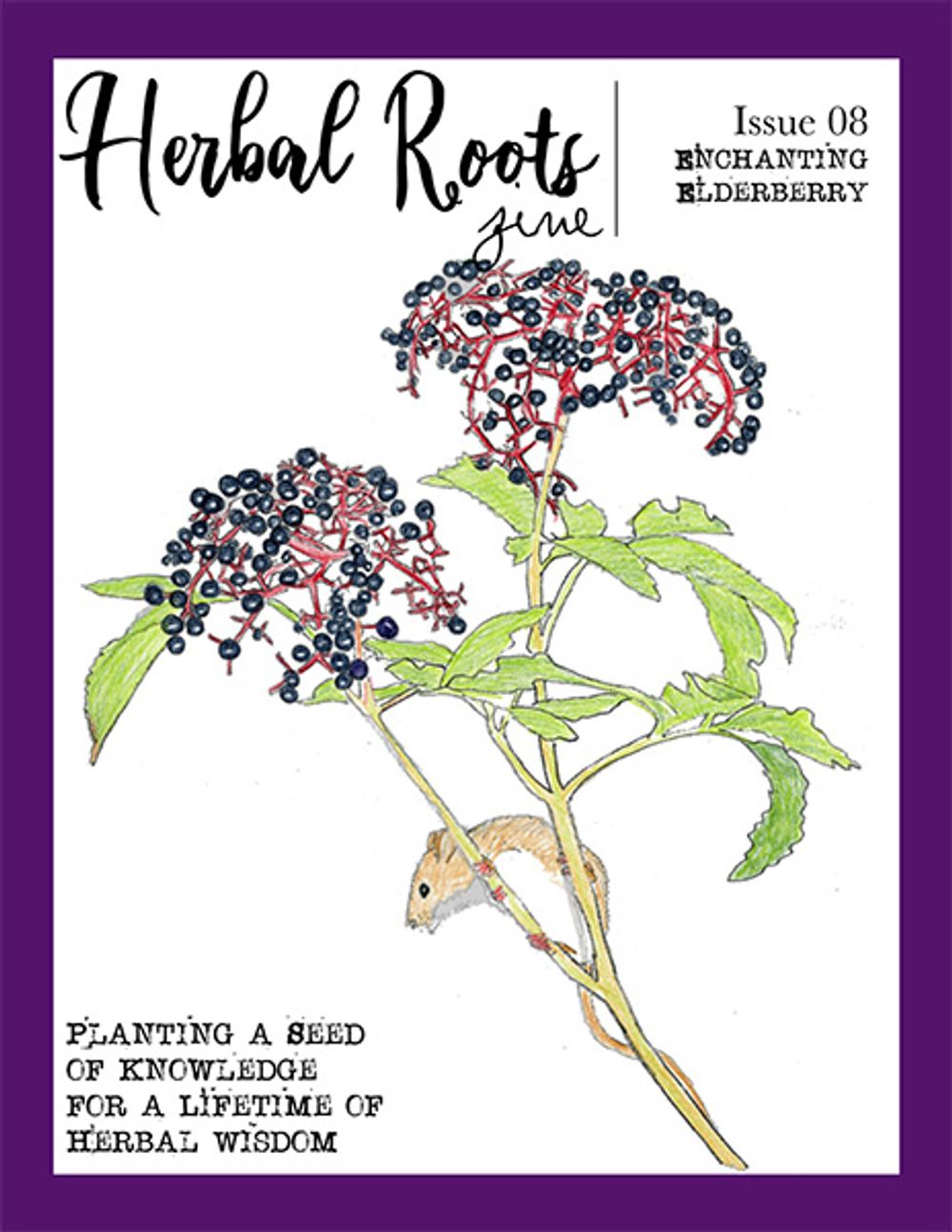 Enchanting Elderberry