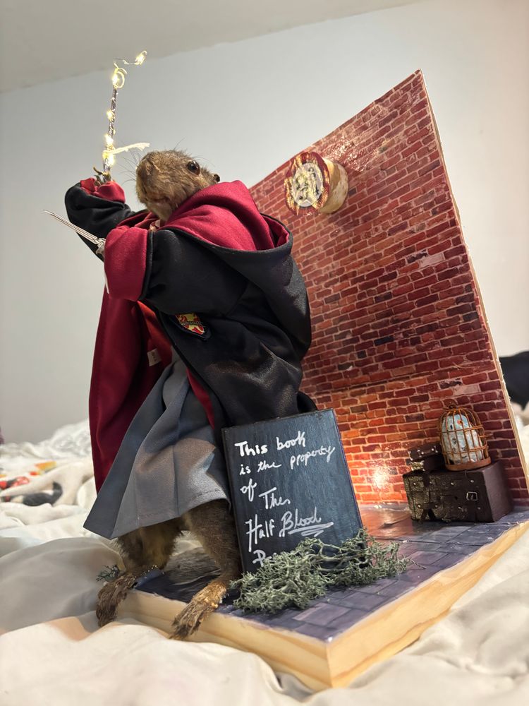 Squirrels Potter 