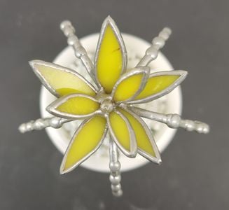 Yellow Flower from Top View 