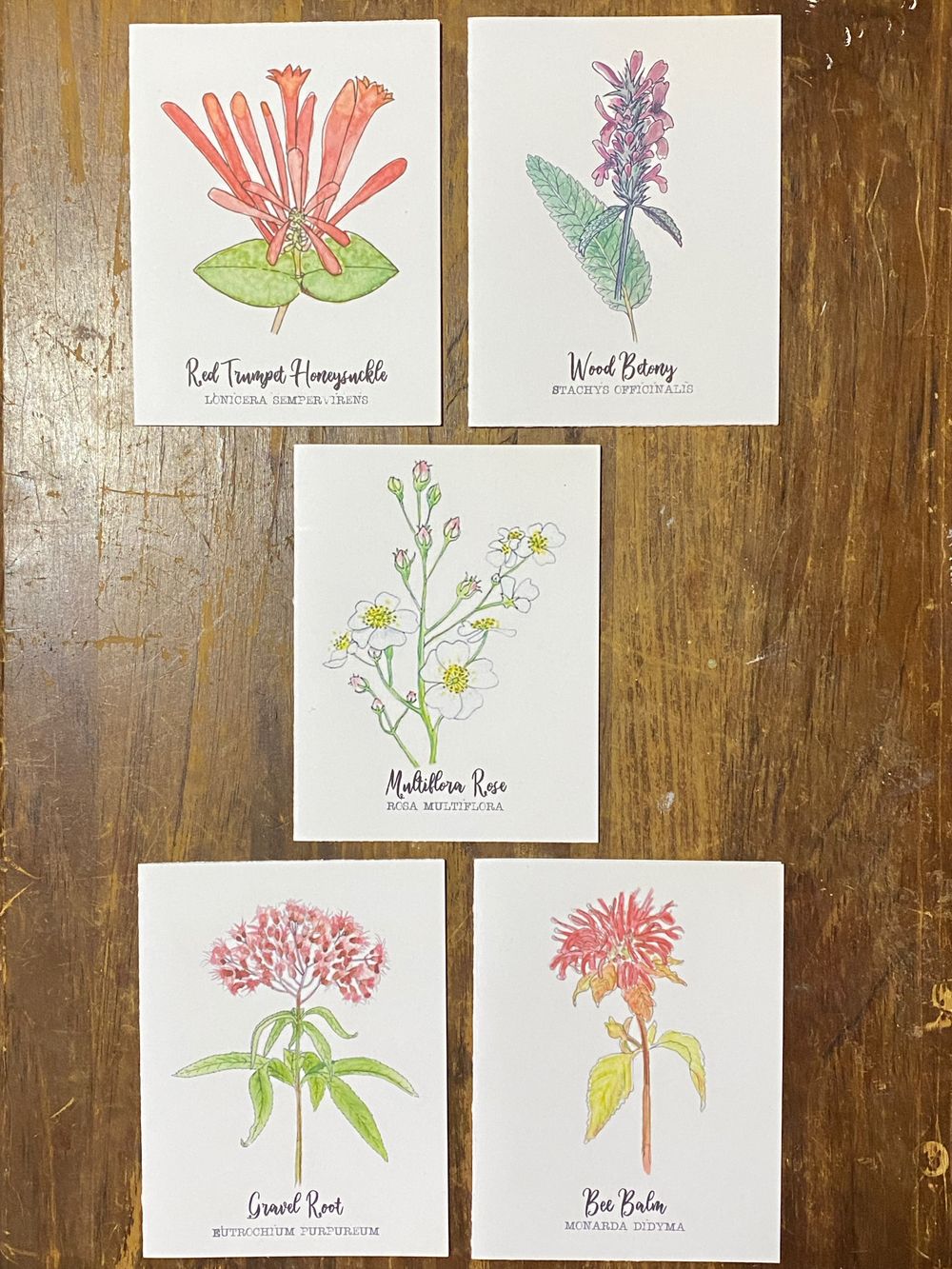 Red Wildflower Notecard Set