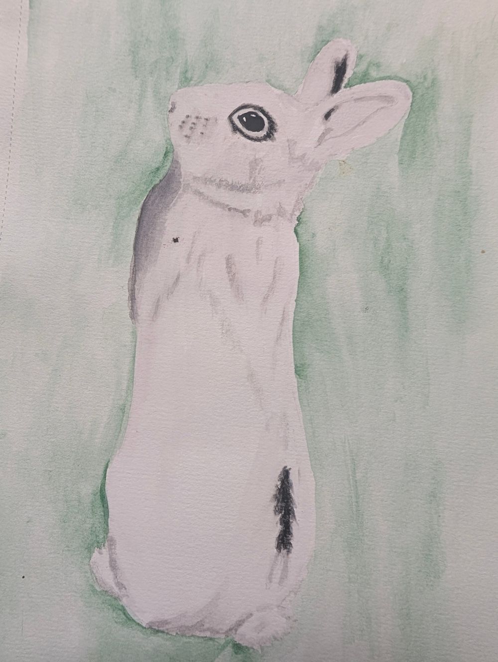 Chaos Watercolor Custom Pet Portrait — Hand-Painted Original (5×7 or 8×11)