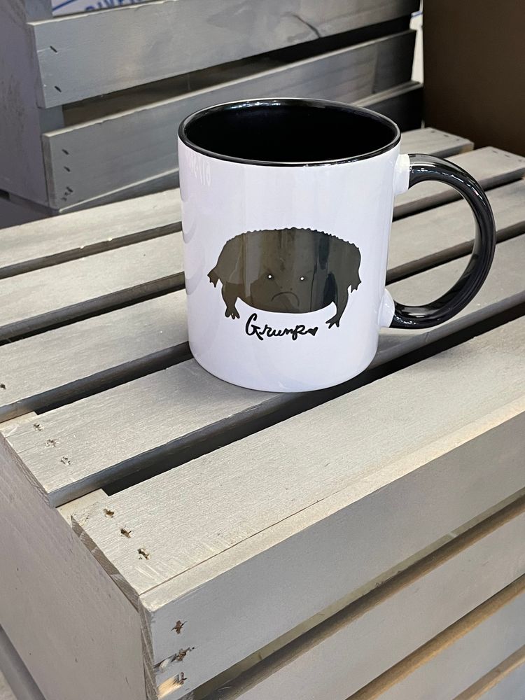 *B-GRADE* Grump Frog Mug