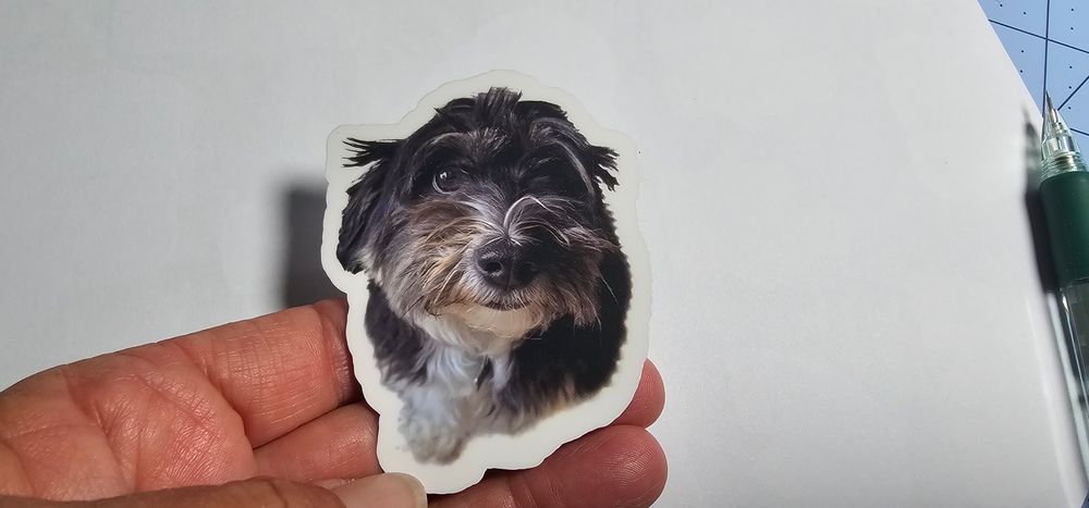 Sticker, custom with your pets picture
