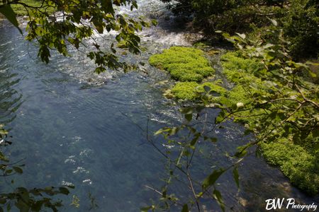 A view from over the cliff edge at Welch Spring Hospital ruins. The rangers were saying there were so many different mollusks and other organisms living in the water that made it blue