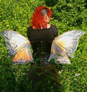 Back of previous custom wing-Style 2