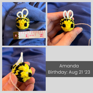 A collage of images of Amanda the tiny bee