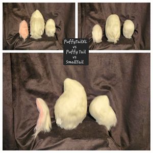 Tail Sizes