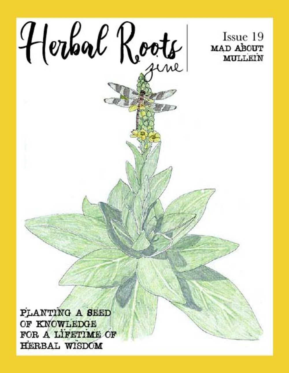 Mad About Mullein