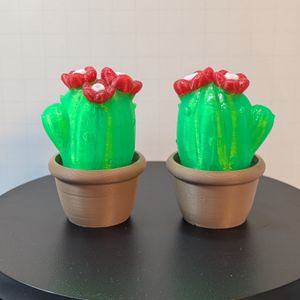 Cute little cacti in their cute little pots.
