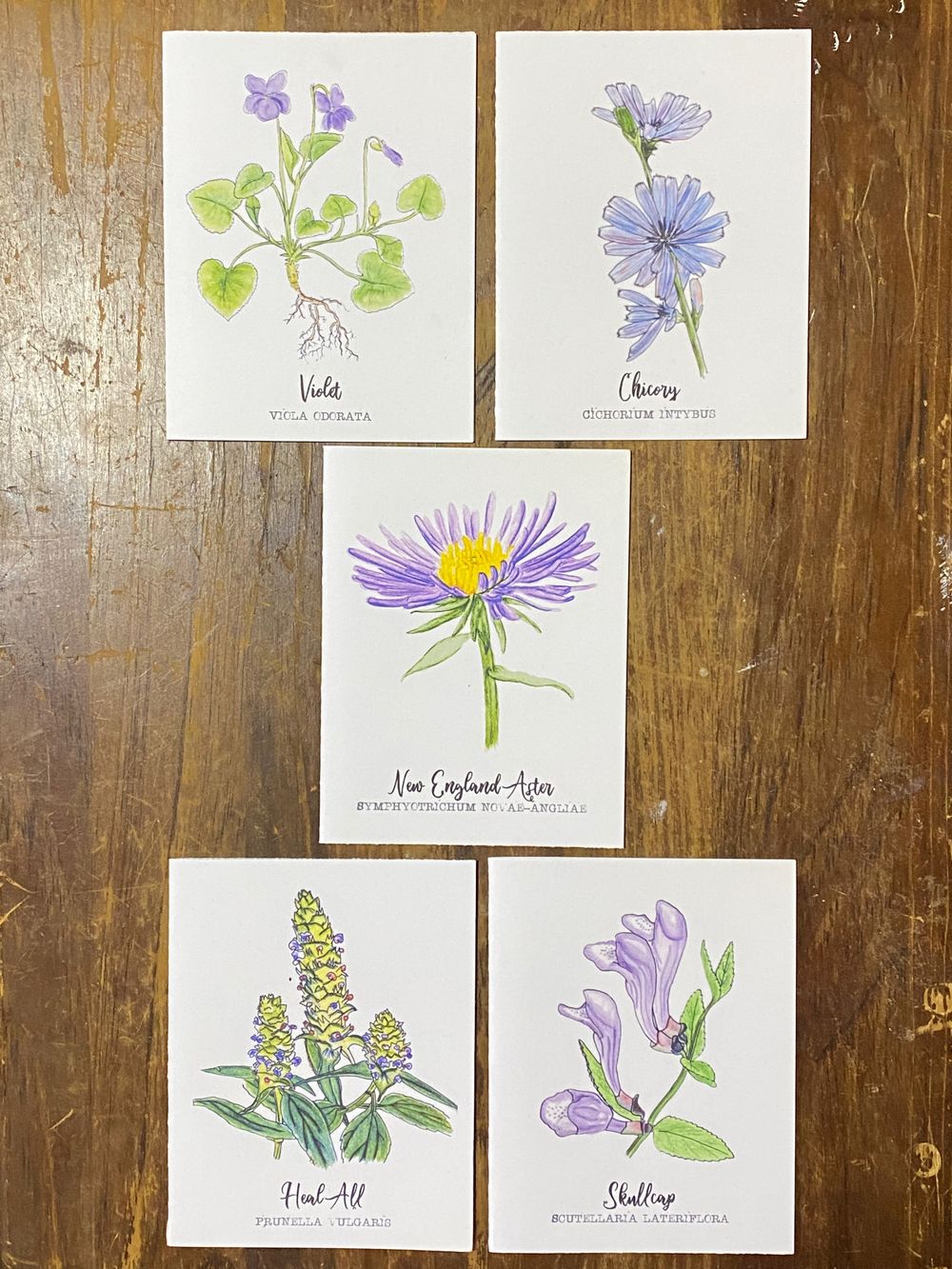 Purple Wildflower Notecard Set