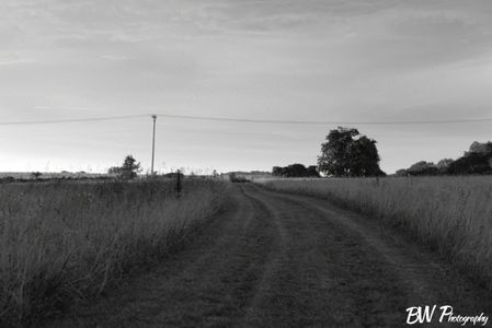 A lone road at sunset