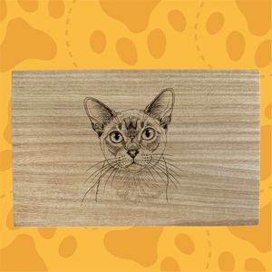 images Traced, converted to black and white, find edge filter, poster edges layered on photoshop