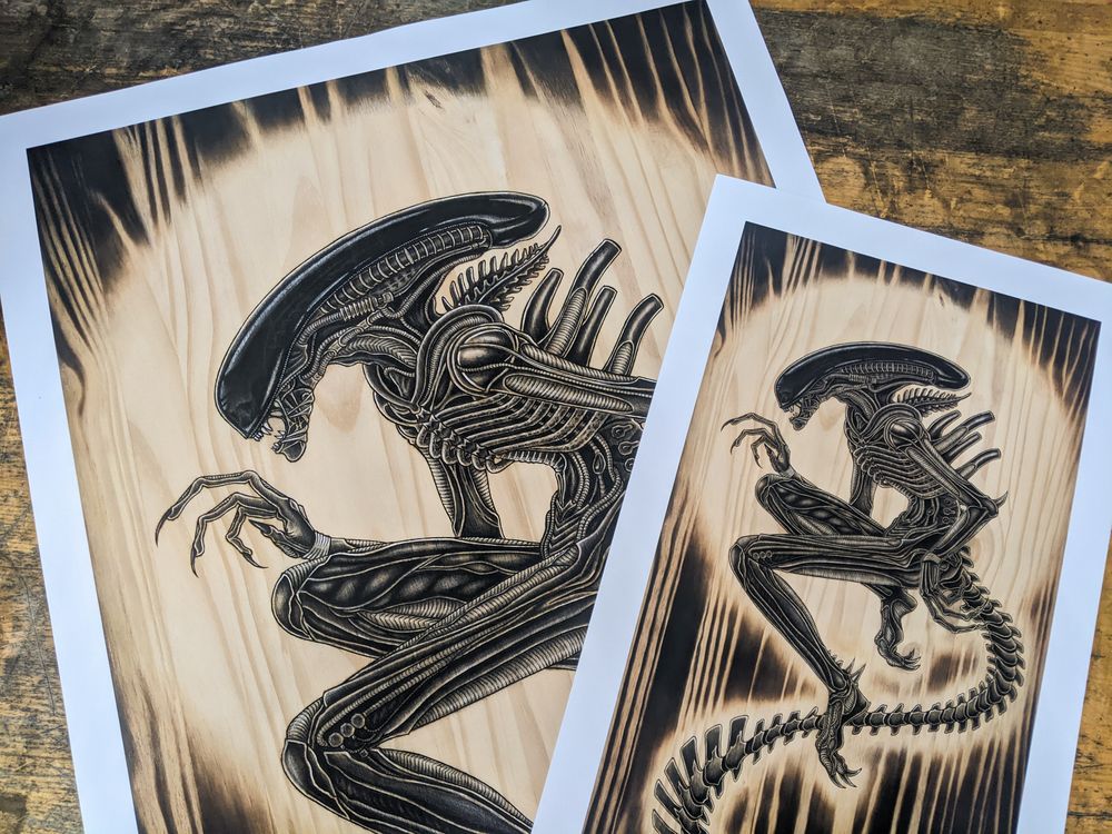 "Perfection" 16 x 36 in & 8 x 18 in BUNDLE Giclee Prints