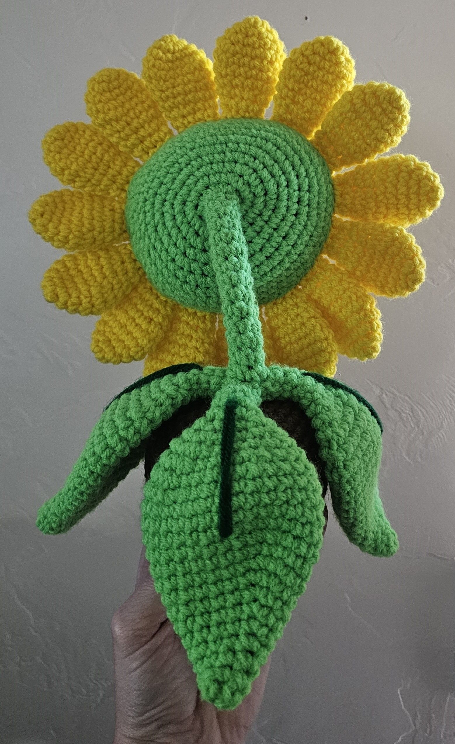 sunflower3.jpg