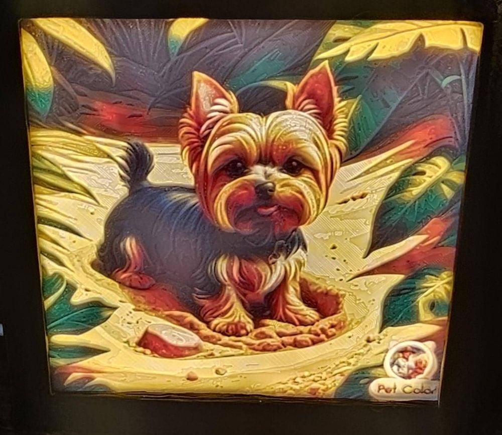 Custom Lightbox Display