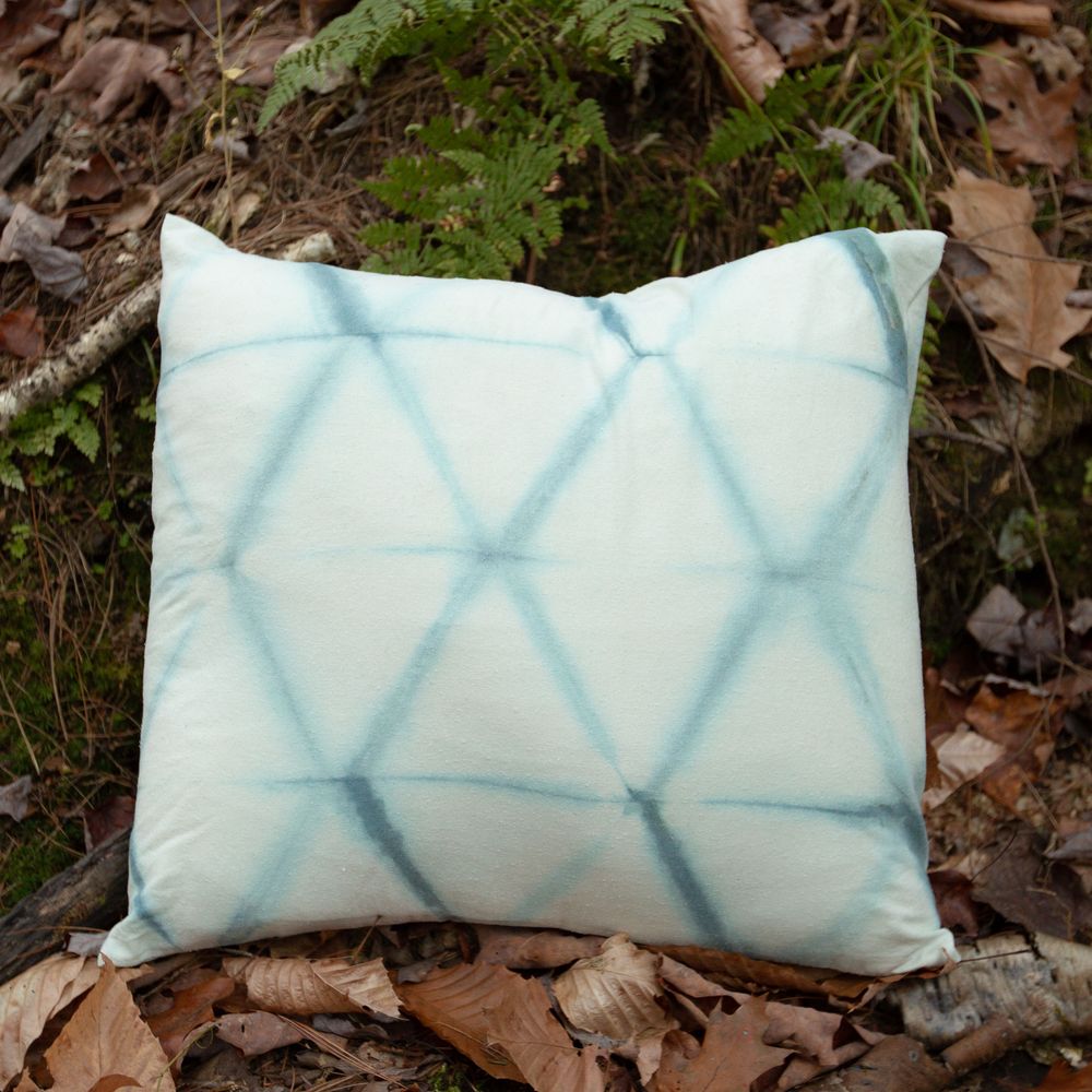 Raw Silk Throw Pillow 