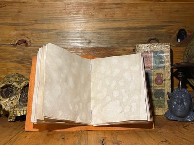 Inside Pages