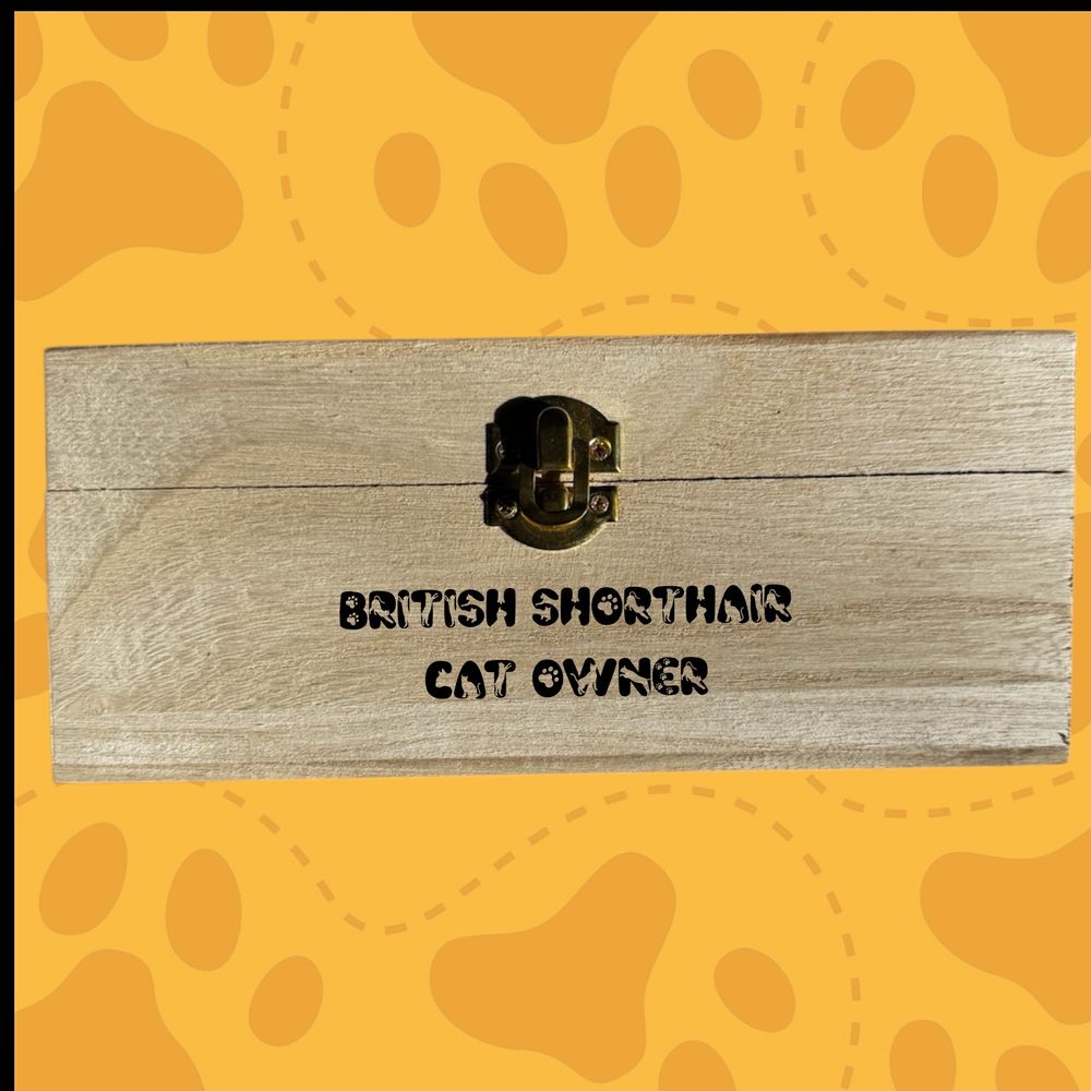 British Shorthair kitty box