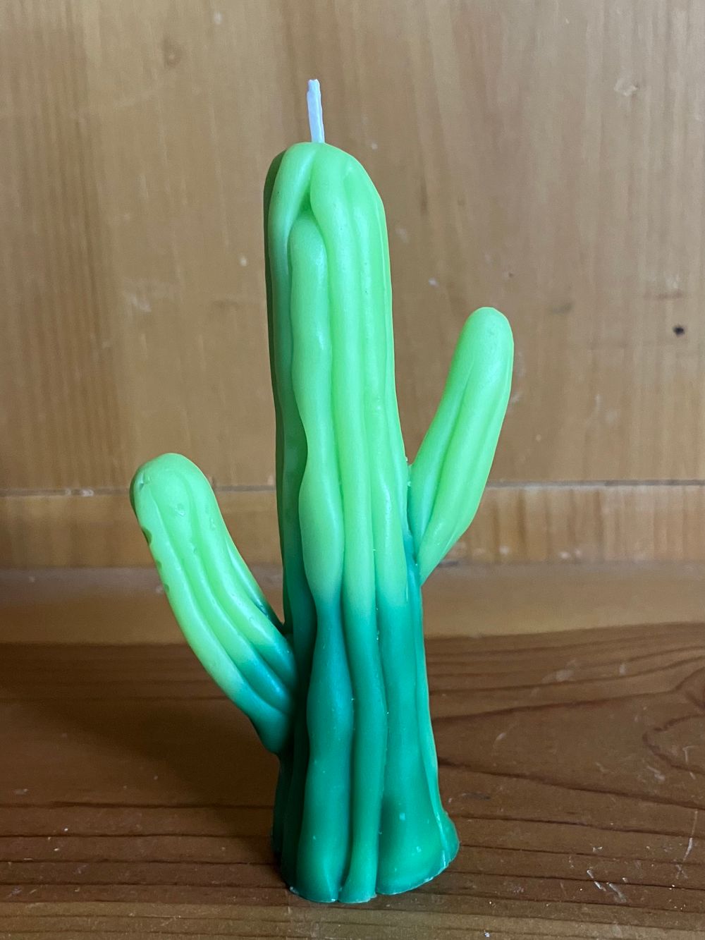 Cactus Candle