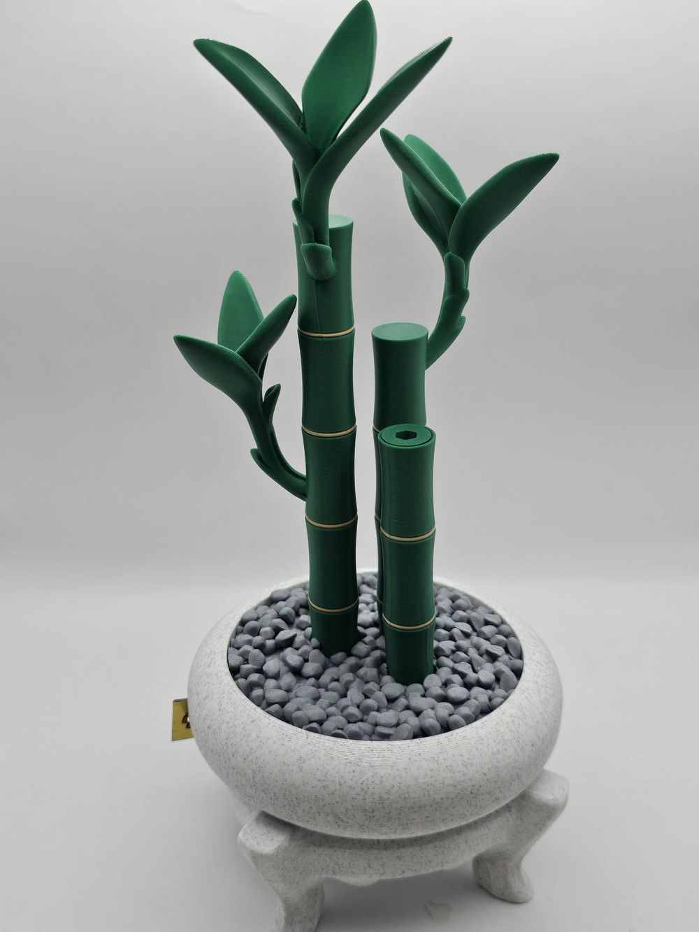 Bamboo Buddy: The Ultimate Aesthetic Tool Kit