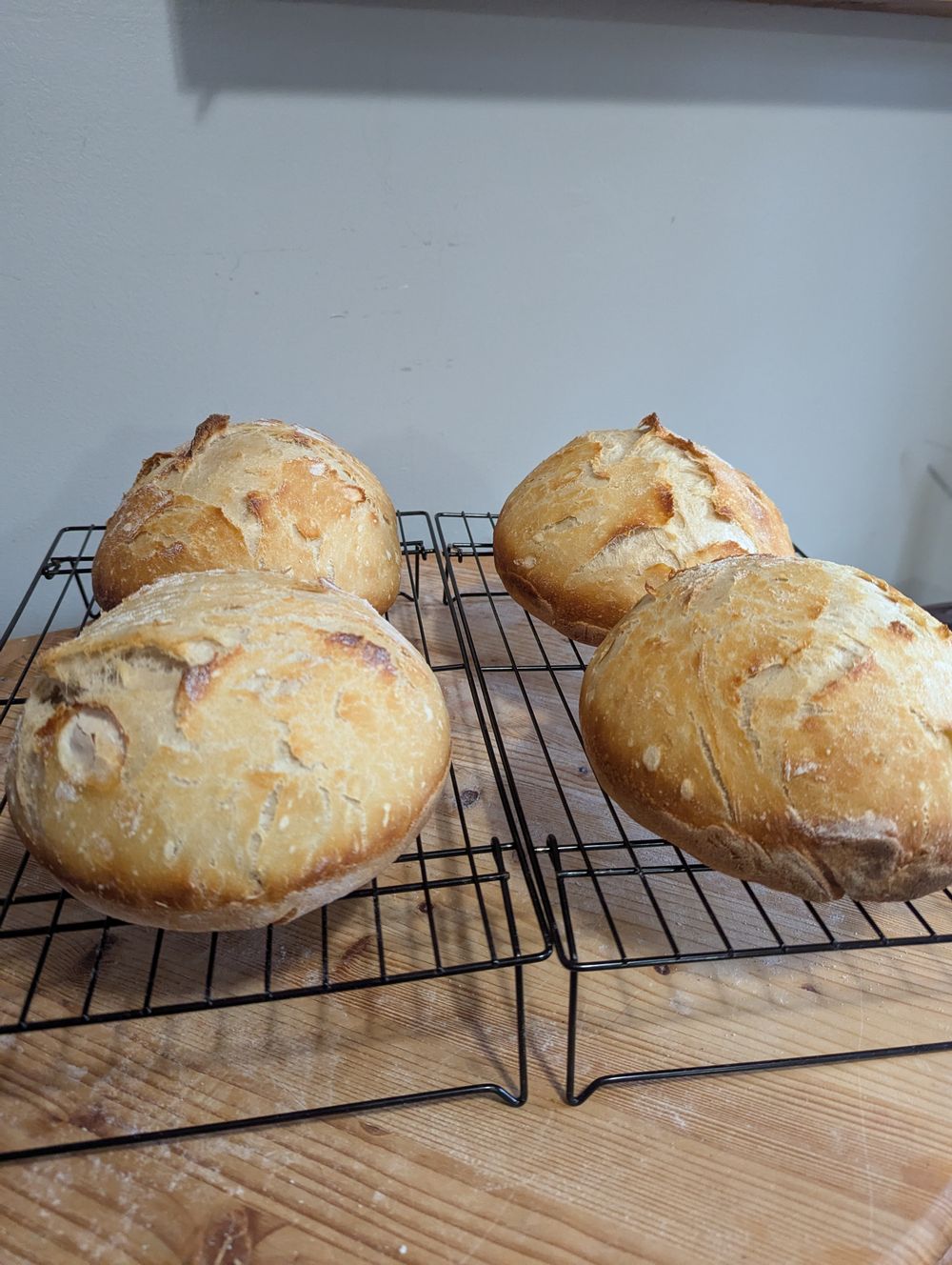 Farm pick up first sourdough bread one loaf pre order