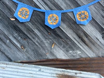Blue and Orange star pennant 