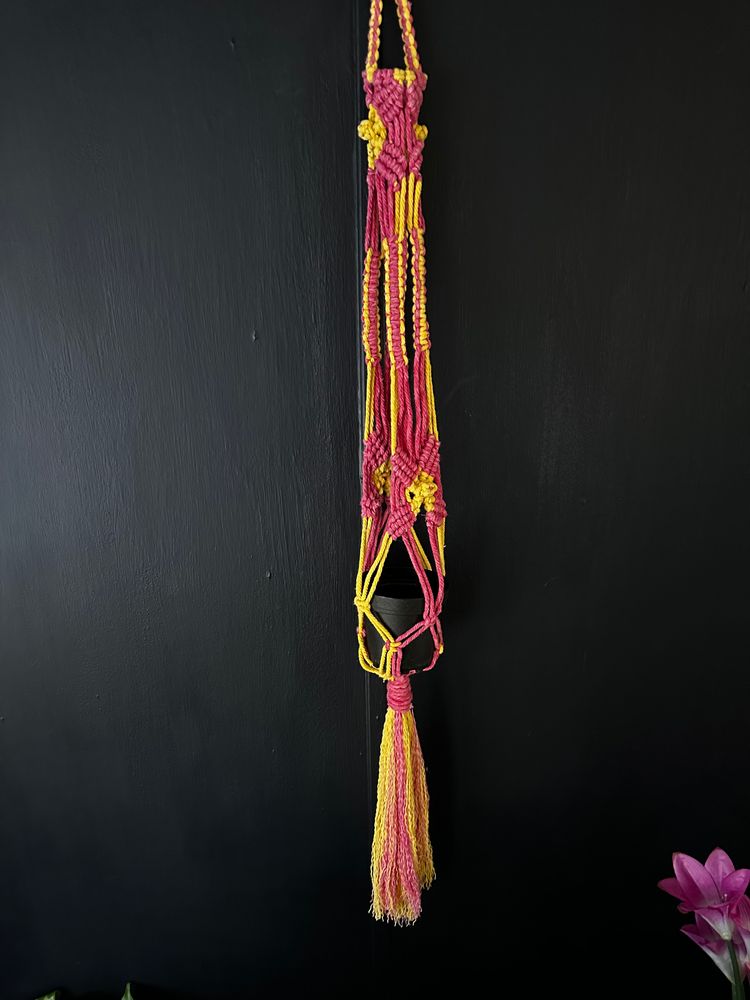 Rosy Maple plant hanger