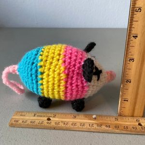 Opossum size