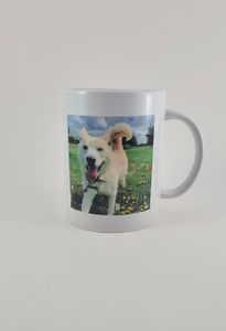 A favorite photo on a mug, great for gifts even to oneself. 