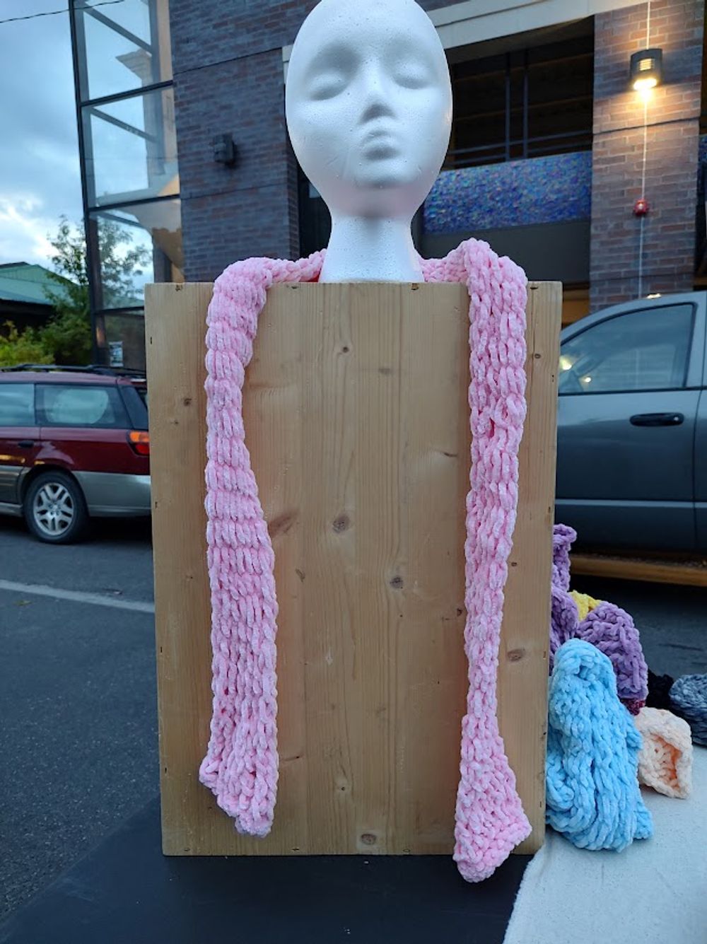 The Blush Plume Scarf