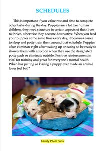 Human children and puppies are almost identical. 