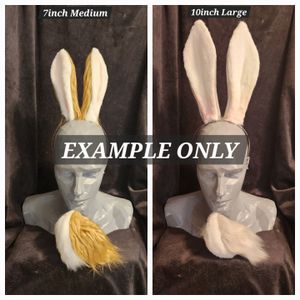 Size comparison 7inch and 10inch ears