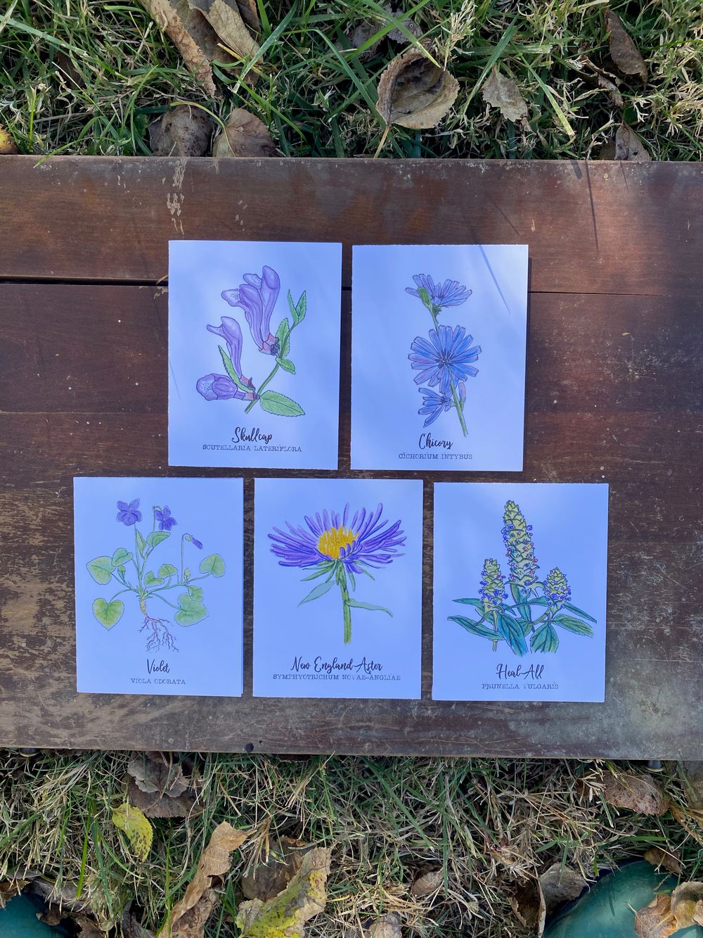 Purple Wildflower Notecard Set