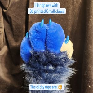 Back of paw