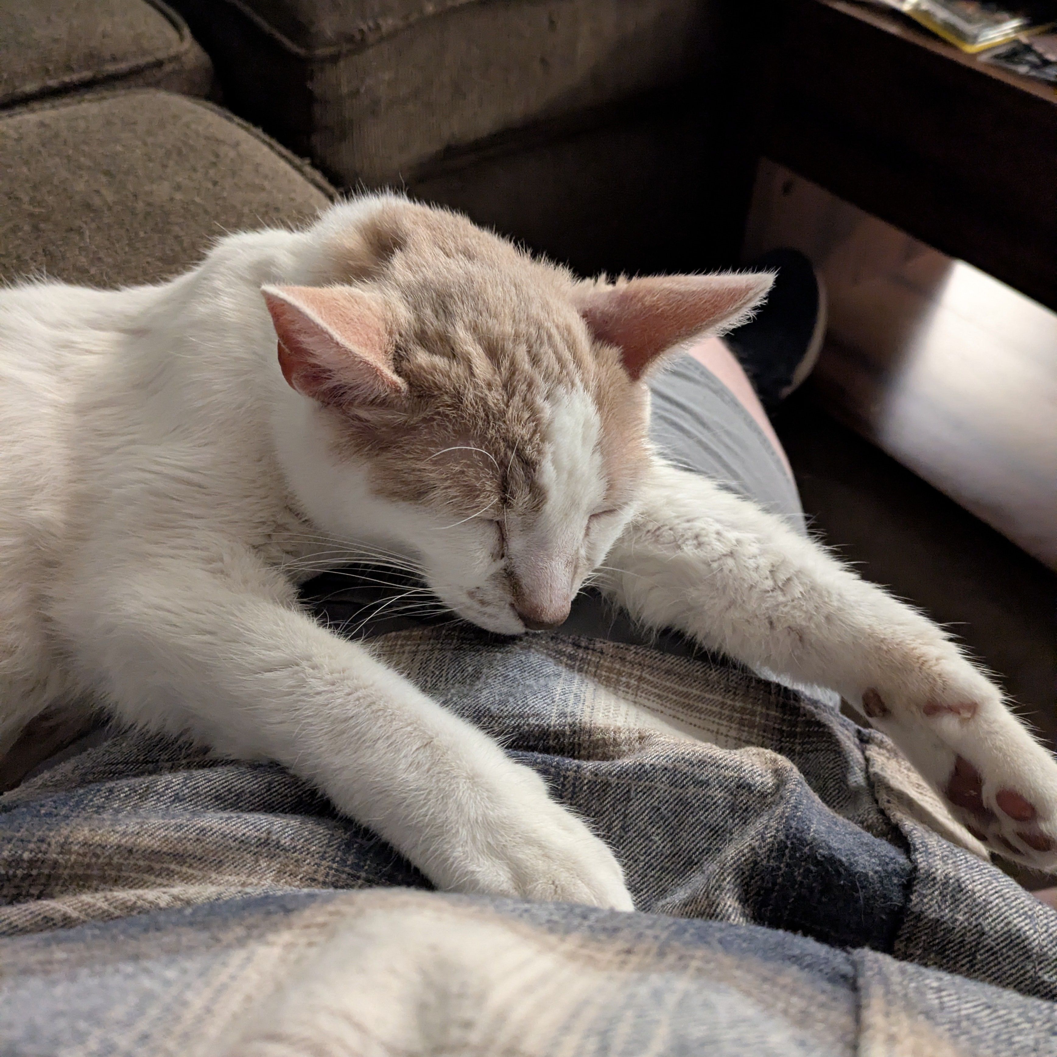 Monday Update - November 17th, 2025