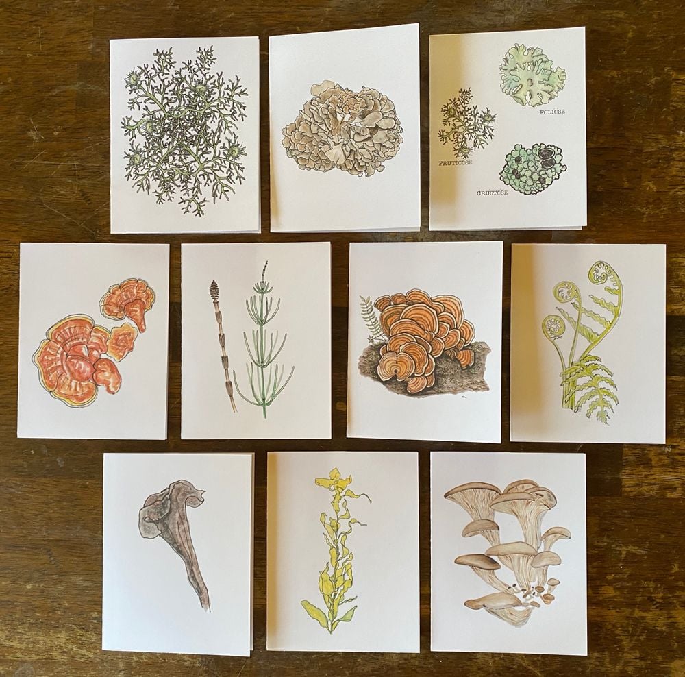 Fungi, Ferns & Friends Notecard Collection