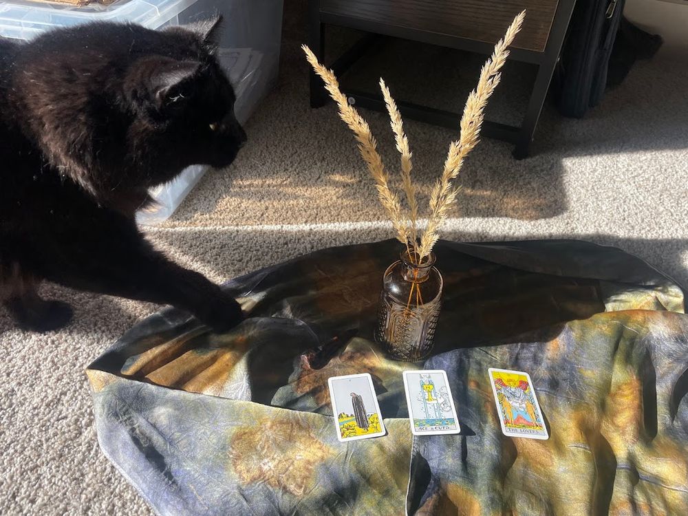 Three Card Tarot Reading