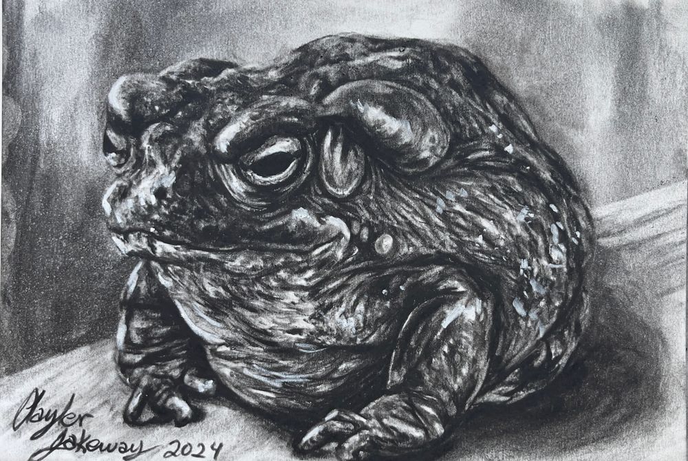 2024 Day 24: Toad