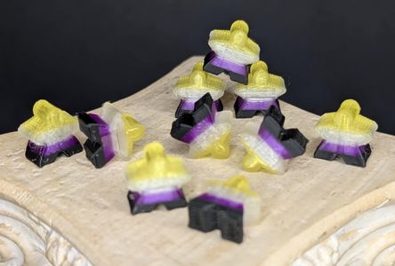 Set of 10 Non-Binary flag colored meeple