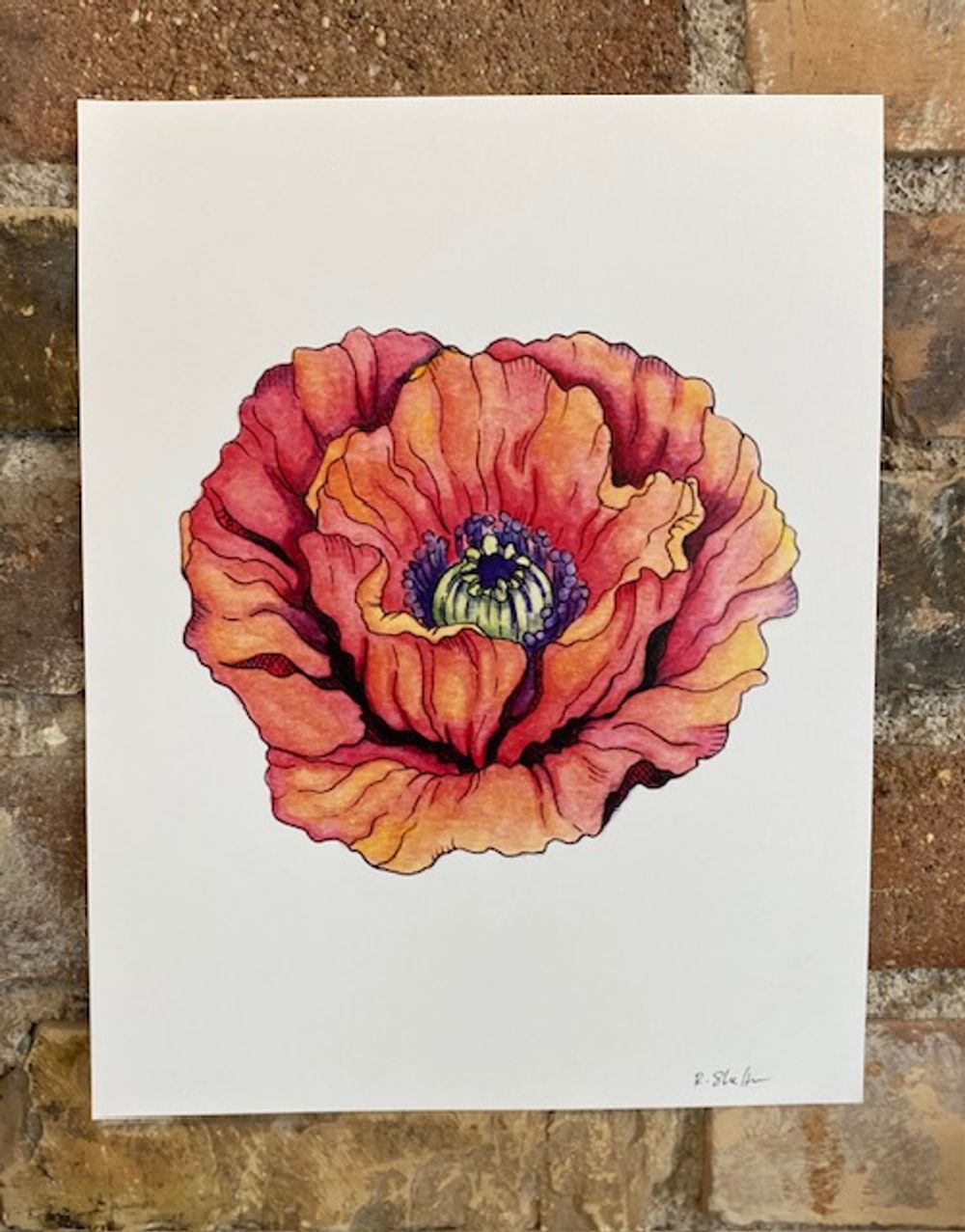 Poppy