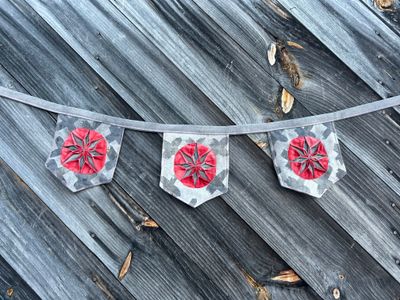 Gray and Red star pennants