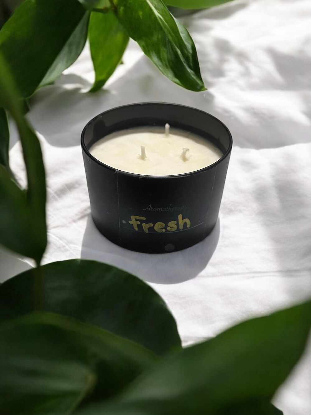Fresh 8 oz. Candle 